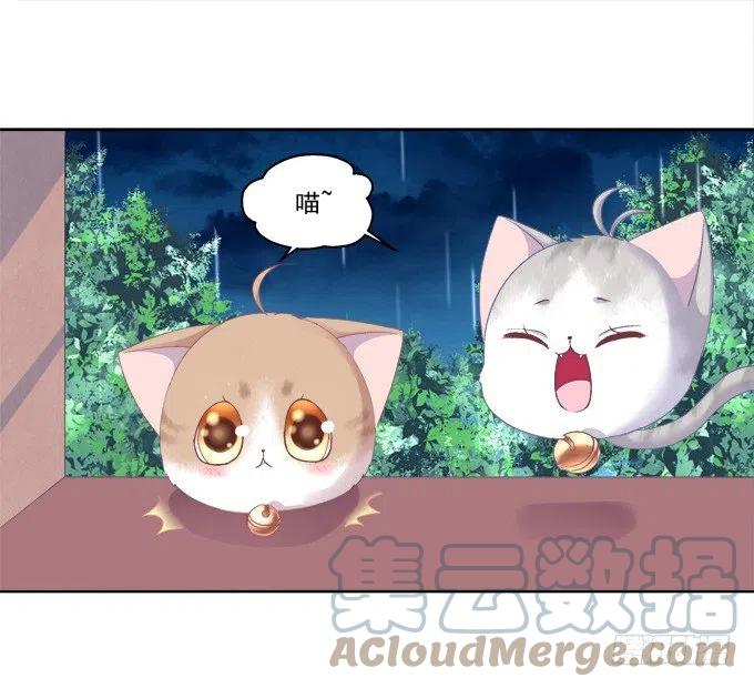 《猫妖的诱惑》卿哥的照？ 第16页