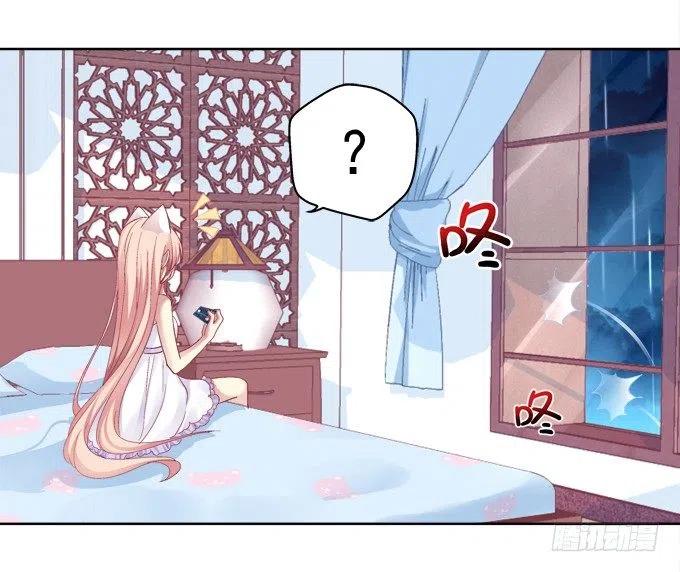 《猫妖的诱惑》卿哥的照？ 第14页