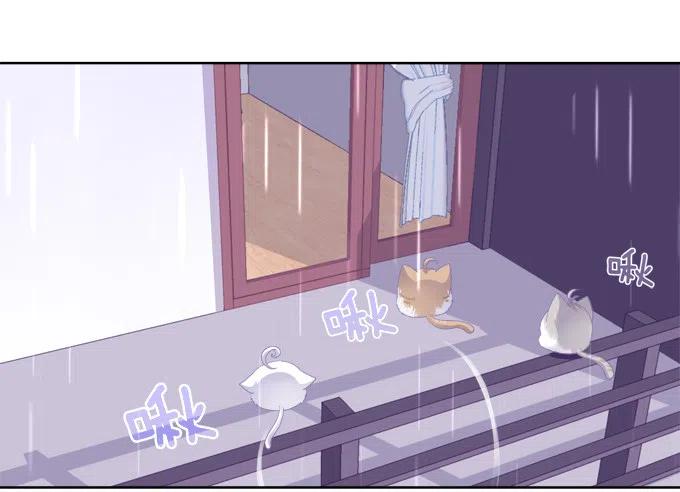 《猫妖的诱惑》卿哥的照？ 第33页