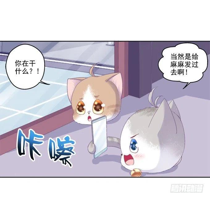 《猫妖的诱惑》卿哥的照？ 第36页