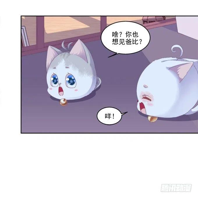 《猫妖的诱惑》卿哥的照？ 第30页
