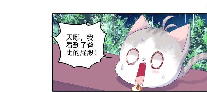 《猫妖的诱惑》卿哥的照？ 第35页
