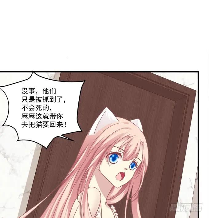 《猫妖的诱惑》终于有理由把你圈起来了 第14页