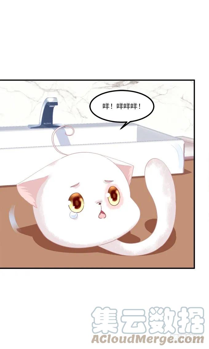 《猫妖的诱惑》终于有理由把你圈起来了 第10页