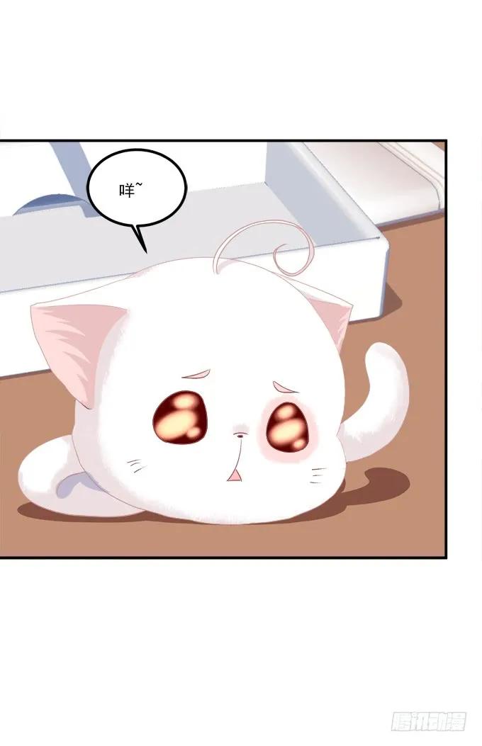 《猫妖的诱惑》终于有理由把你圈起来了 第12页
