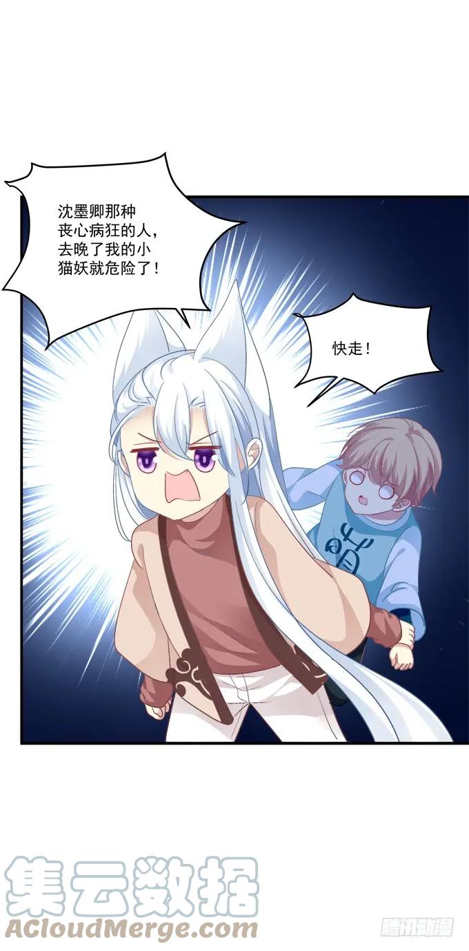 《猫妖的诱惑》谁敢动老娘的东西！ 第19页