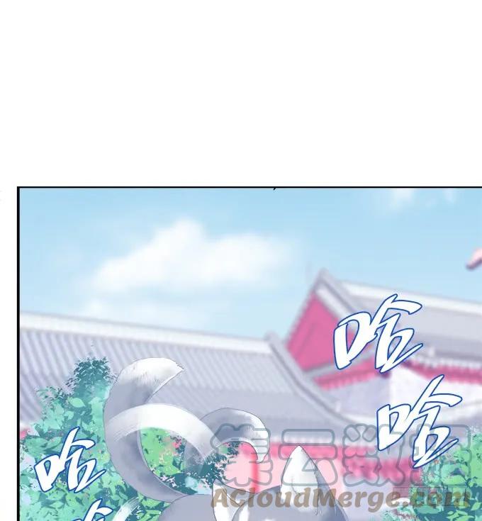 《猫妖的诱惑》不要舔我！！ 第43页