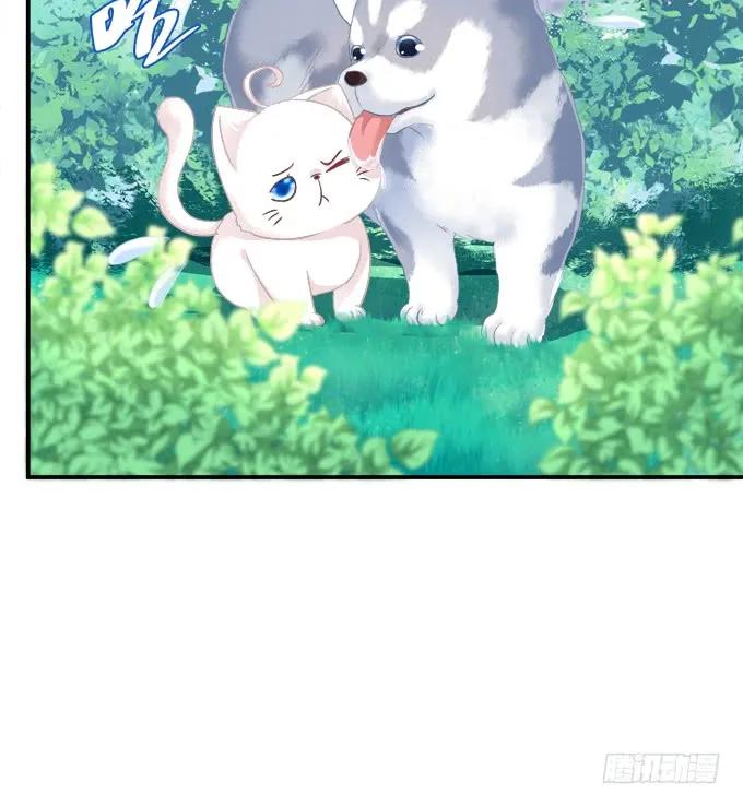 《猫妖的诱惑》不要舔我！！ 第44页