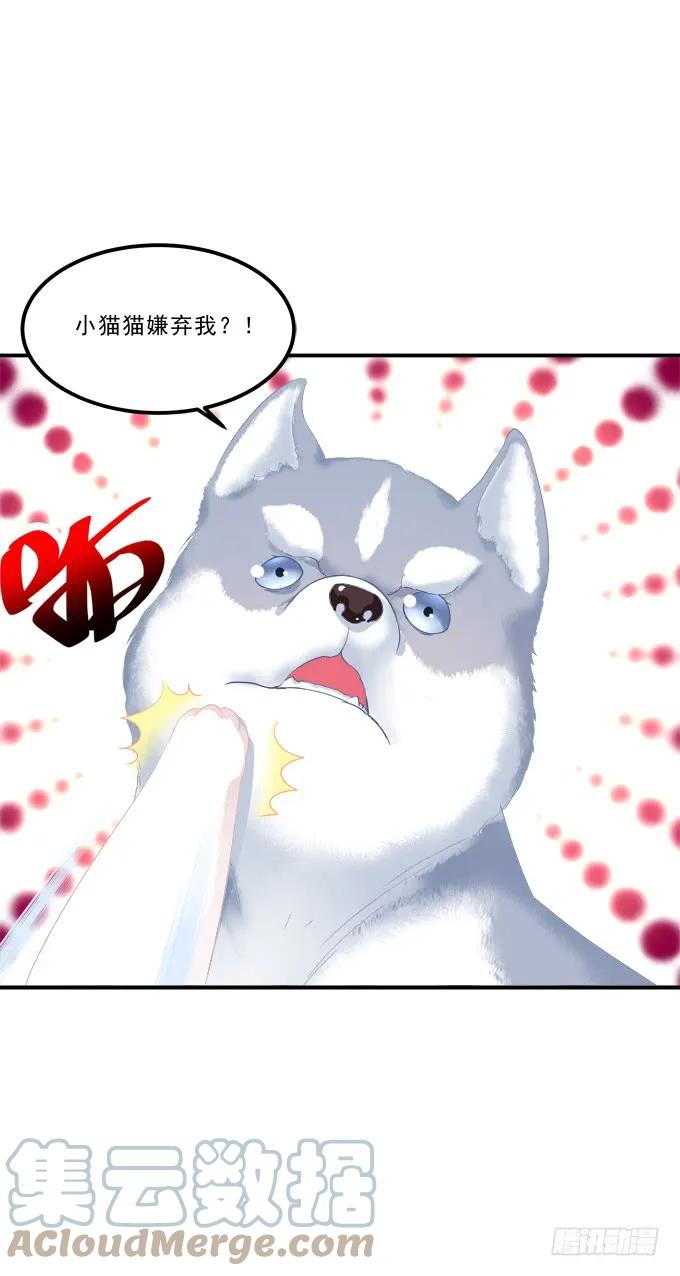 《猫妖的诱惑》不要舔我！！ 第46页