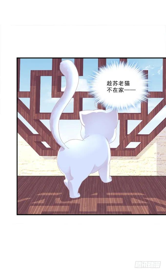 《猫妖的诱惑》不要舔我！！ 第41页