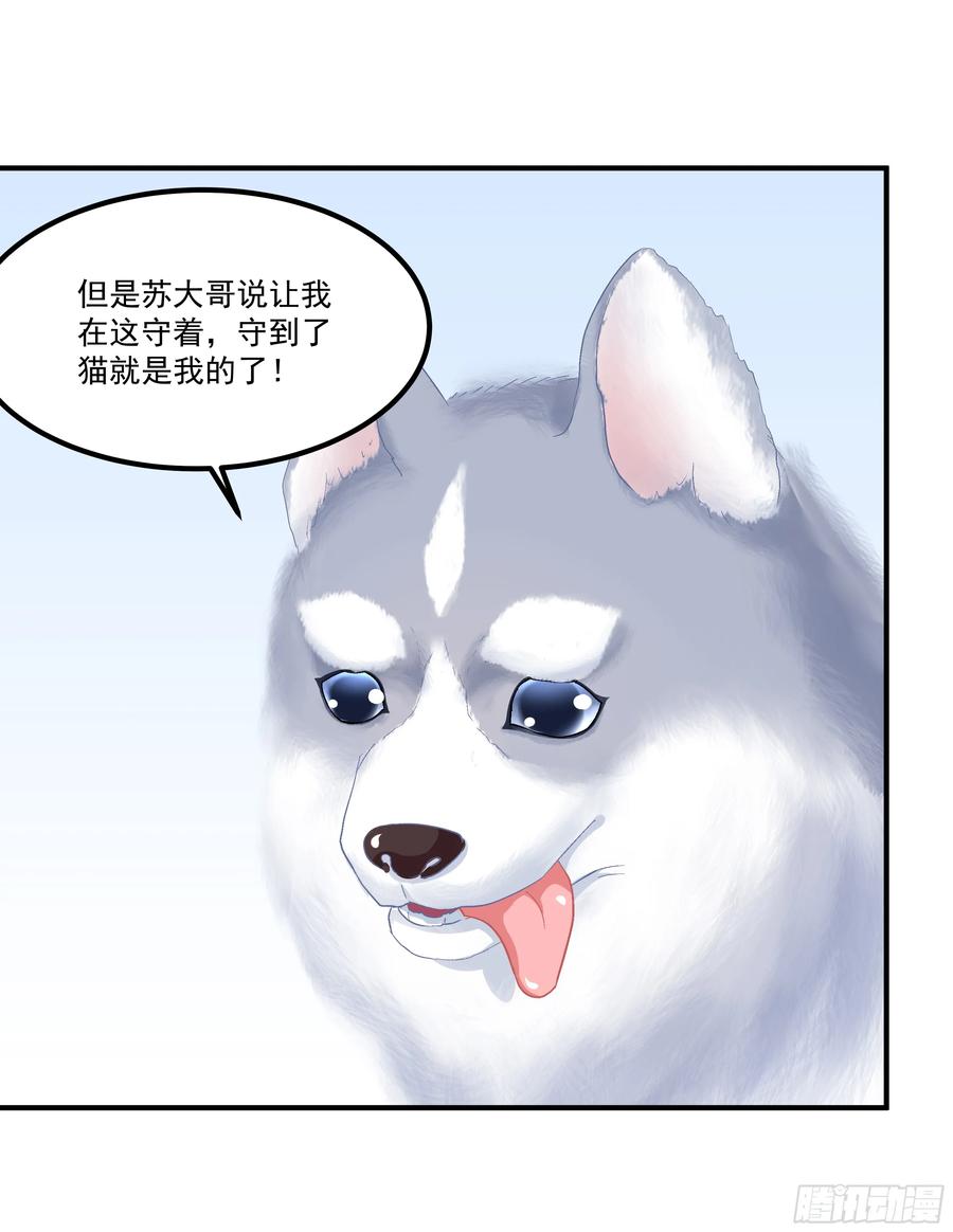 《猫妖的诱惑》狼二蛋的真身！ 第8页