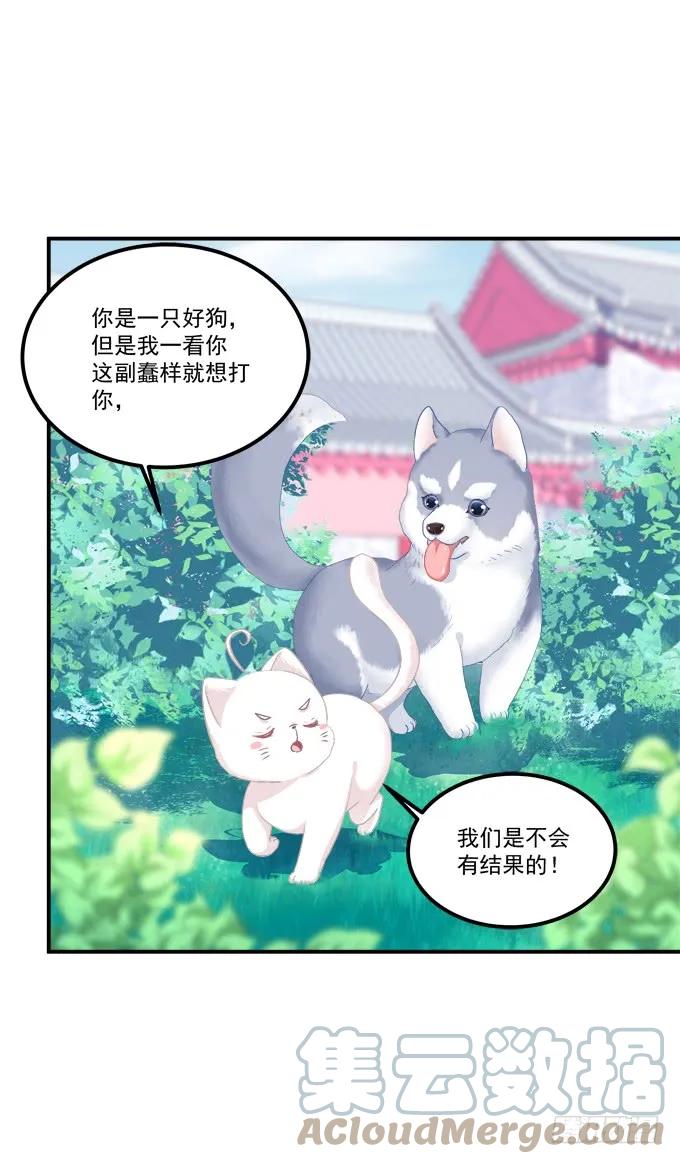 《猫妖的诱惑》狼二蛋的真身！ 第7页