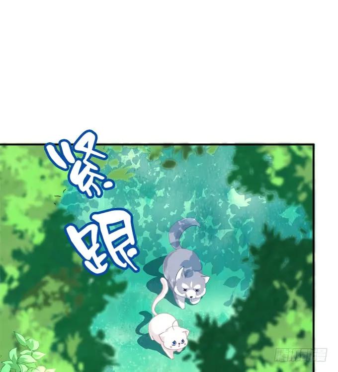 《猫妖的诱惑》狼二蛋的真身！ 第14页