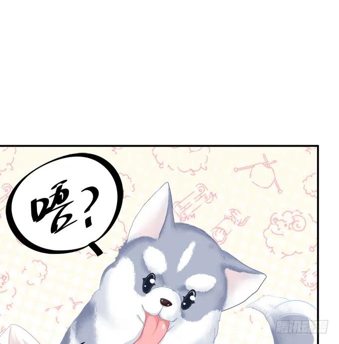 《猫妖的诱惑》狼二蛋的真身！ 第5页