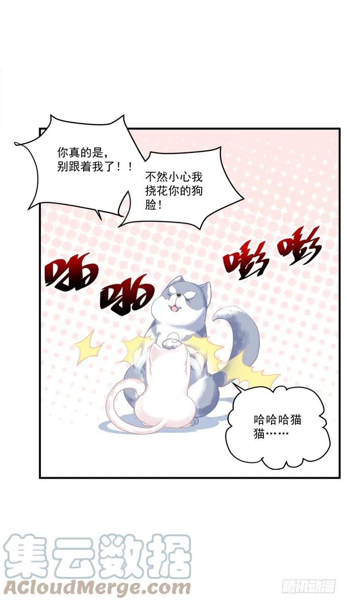 《猫妖的诱惑》狼二蛋的真身！ 第16页