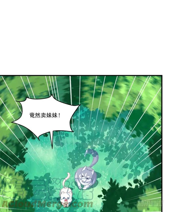 《猫妖的诱惑》狼二蛋的真身！ 第10页
