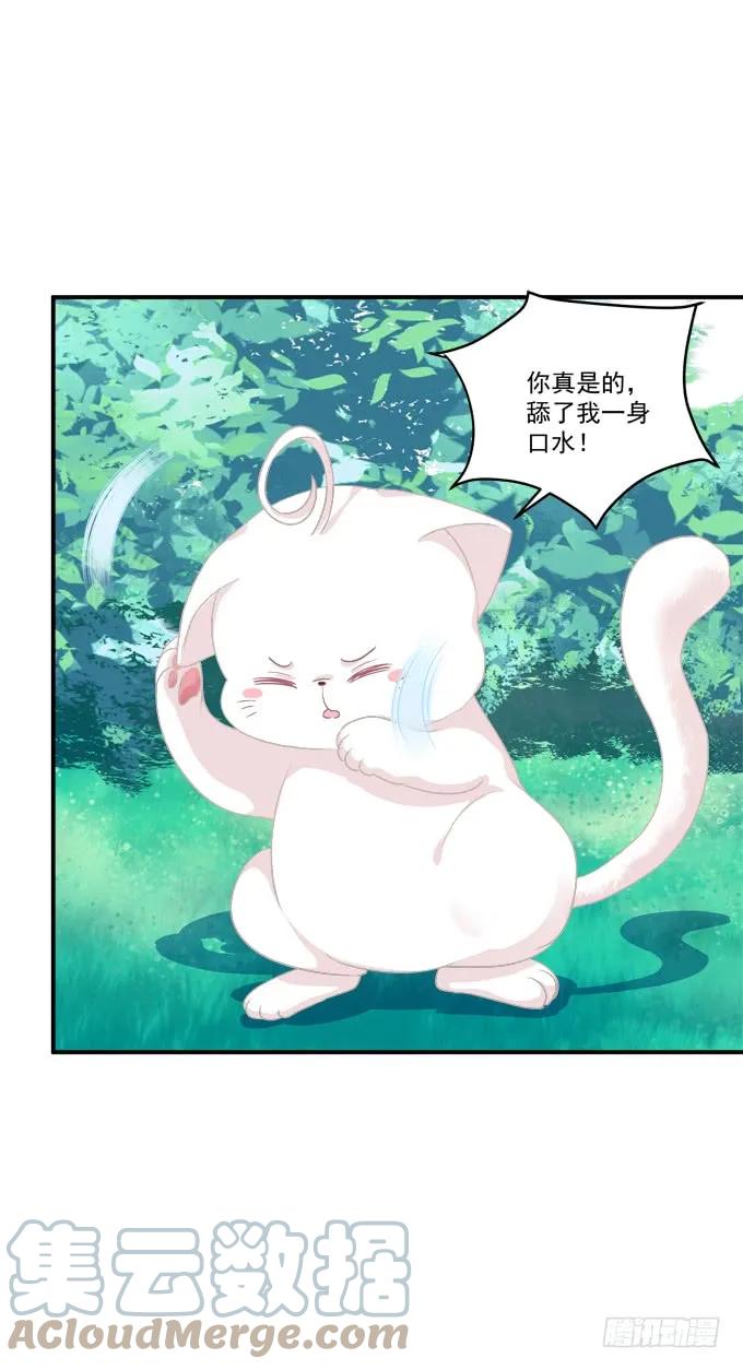 《猫妖的诱惑》狼二蛋的真身！ 第4页