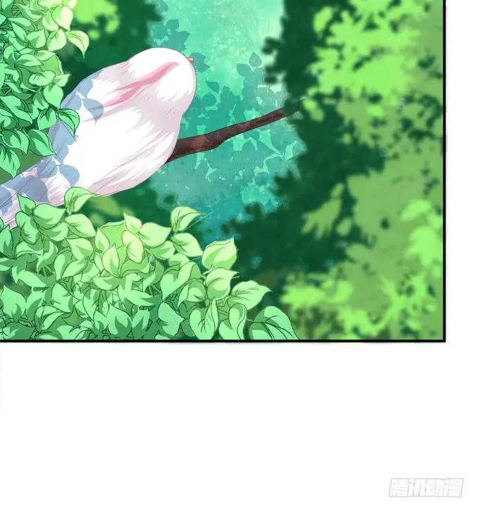 《猫妖的诱惑》狼二蛋的真身！ 第15页