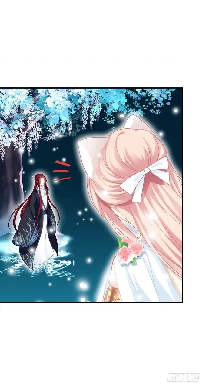 《猫妖的诱惑》深夜约会！ 第36页