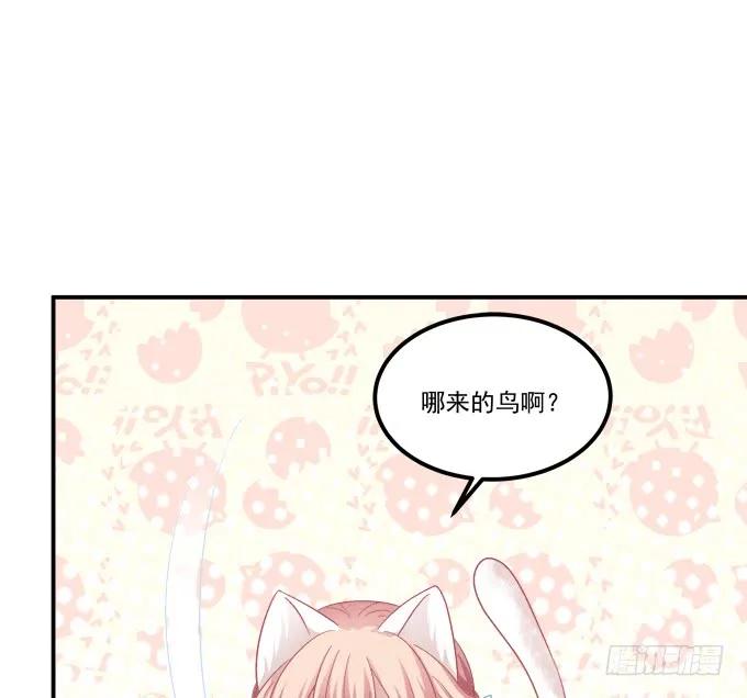 《猫妖的诱惑》深夜约会！ 第6页