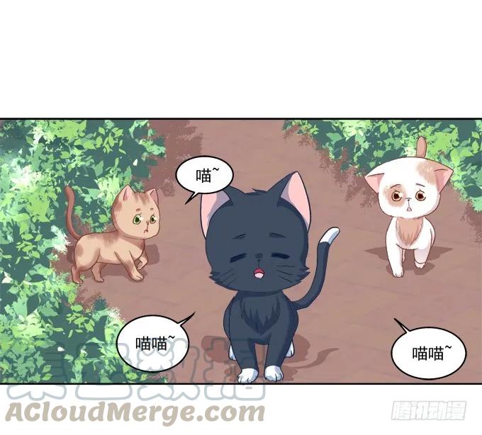 《猫妖的诱惑》卿哥脸红了？ 第25页
