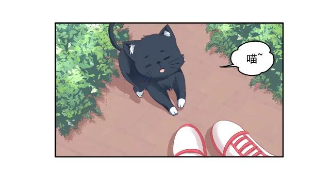 《猫妖的诱惑》卿哥脸红了？ 第23页