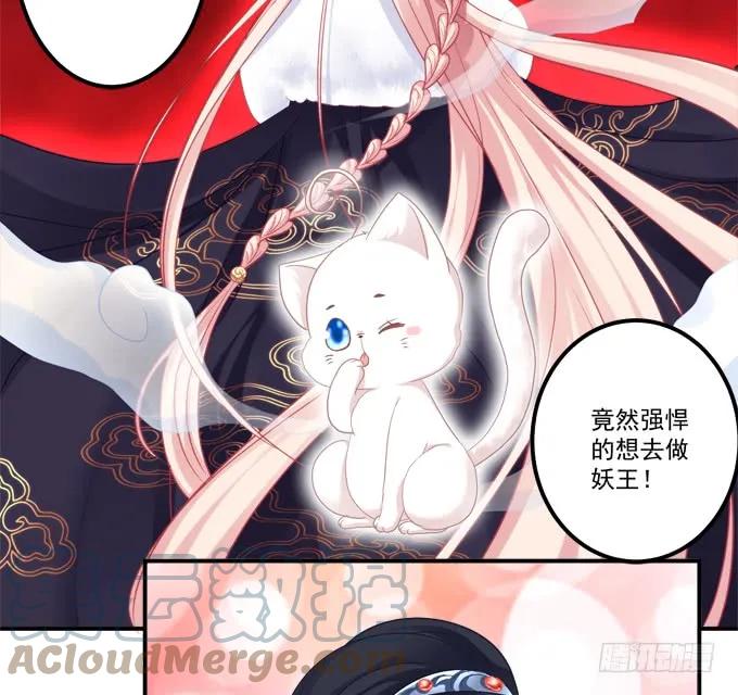 《猫妖的诱惑》她的心里根本没有你！ 第51页