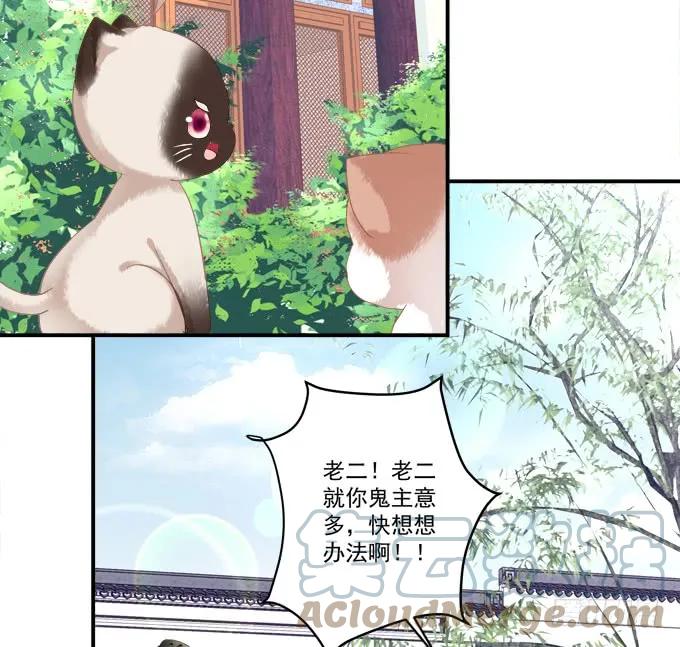 《猫妖的诱惑》逃跑去见卿哥！ 第6页