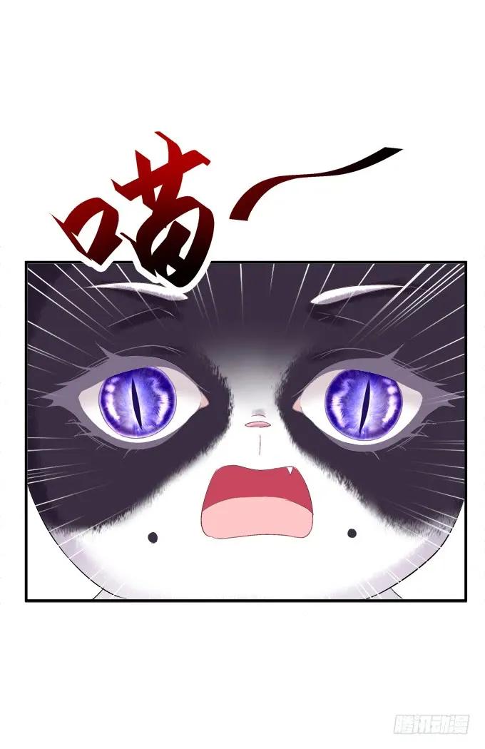 《猫妖的诱惑》逃跑去见卿哥！ 第31页