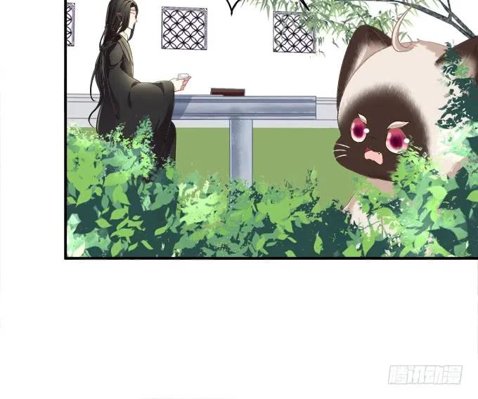 《猫妖的诱惑》逃跑去见卿哥！ 第7页