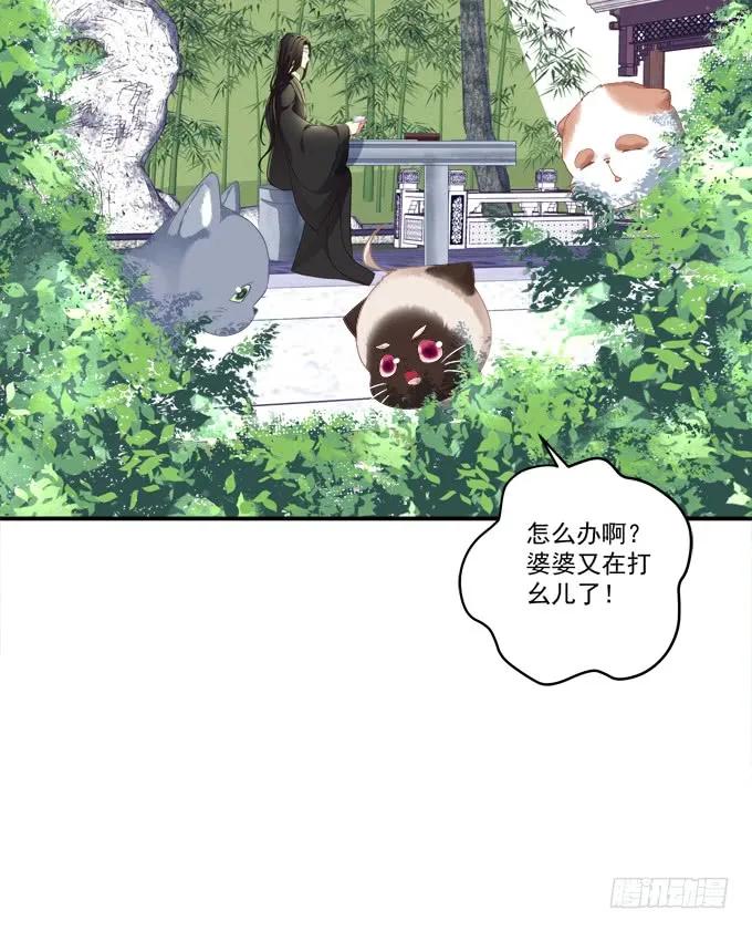 《猫妖的诱惑》逃跑去见卿哥！ 第4页