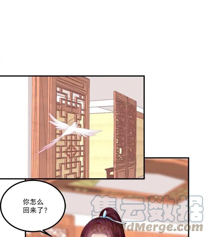 《猫妖的诱惑》逃跑去见卿哥！ 第51页