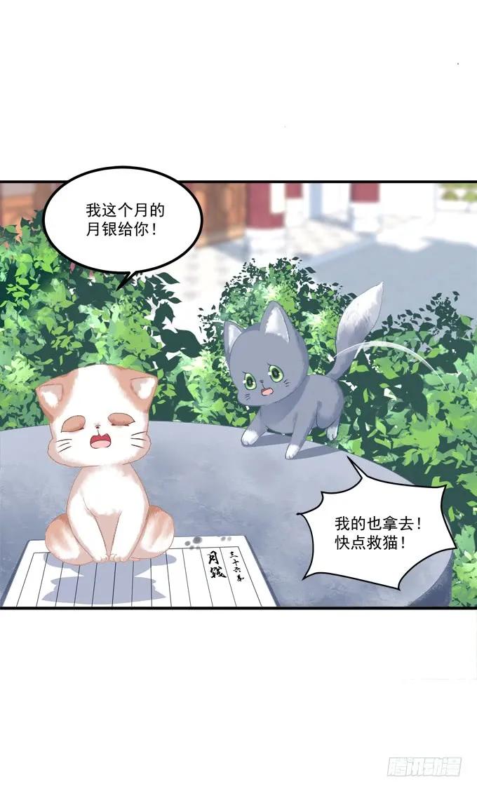《猫妖的诱惑》逃跑去见卿哥！ 第13页
