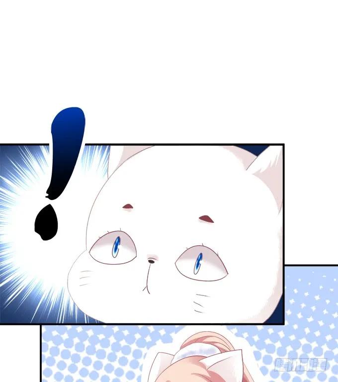 《猫妖的诱惑》逃跑去见卿哥！ 第44页