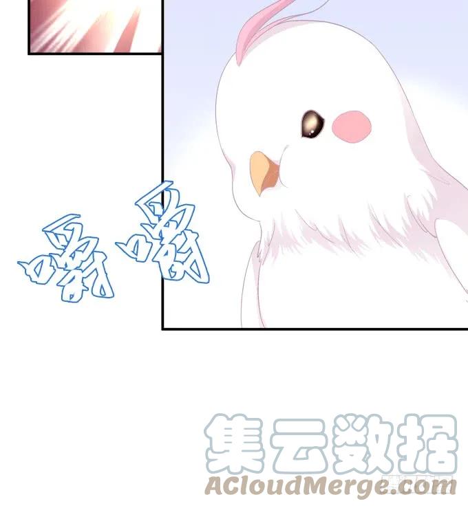 《猫妖的诱惑》沈凌私奔大戏！ 第10页