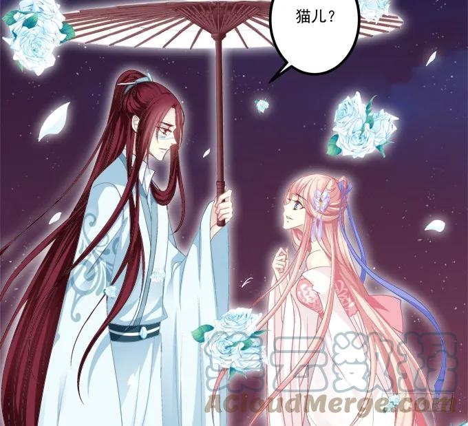 《猫妖的诱惑》当街拥吻！ 第22页