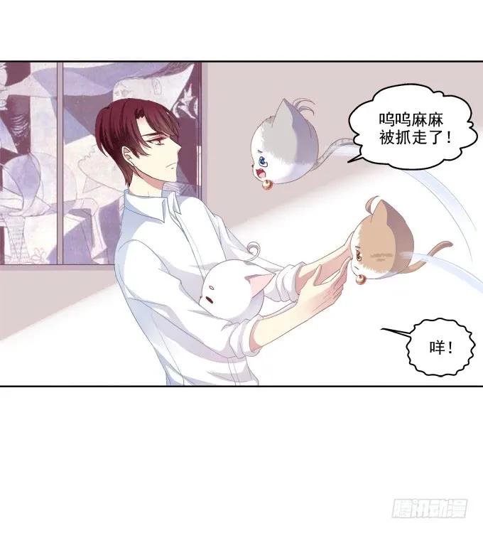 《猫妖的诱惑》爸比麻麻被妖怪抓走了！ 第50页