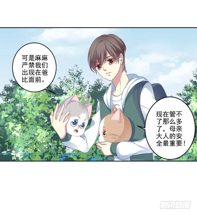 《猫妖的诱惑》爸比麻麻被妖怪抓走了！ 第15页