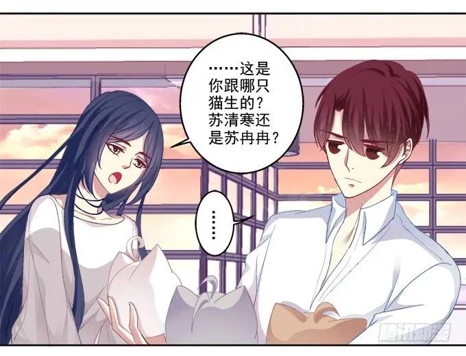 《猫妖的诱惑》爸比麻麻被妖怪抓走了！ 第51页
