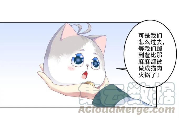 《猫妖的诱惑》爸比麻麻被妖怪抓走了！ 第17页
