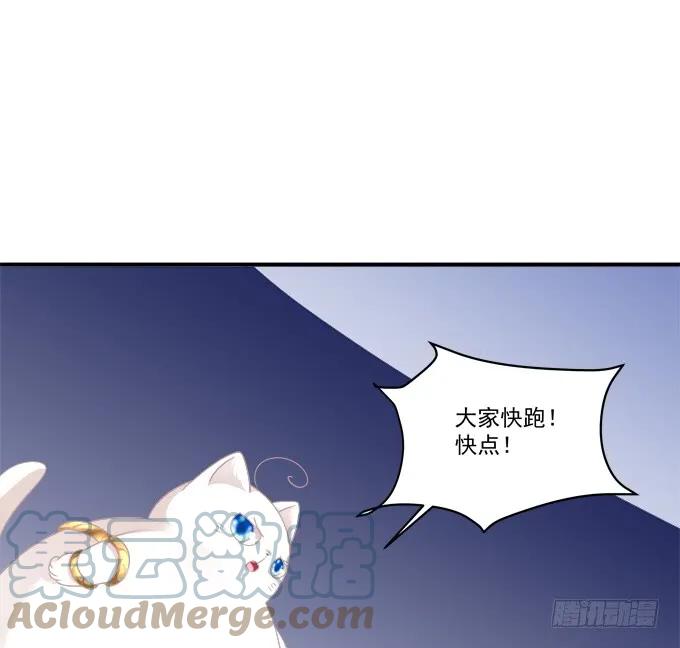 《猫妖的诱惑》这样怎么见卿哥！ 第4页