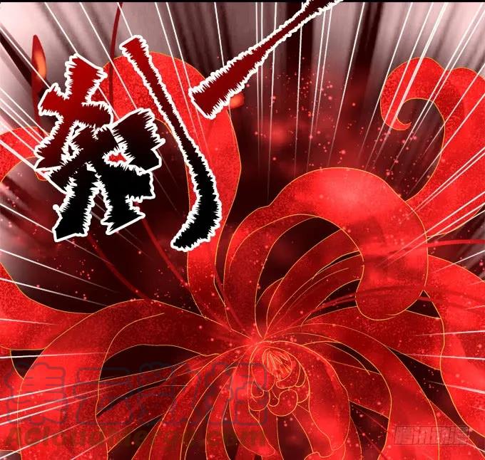 《猫妖的诱惑》苏清寒你太让我失望了！ 第31页