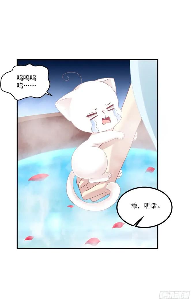 《猫妖的诱惑》一起洗澡_ 第39页