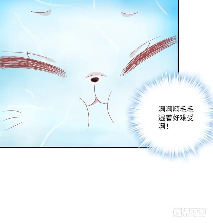 《猫妖的诱惑》一起洗澡_ 第41页