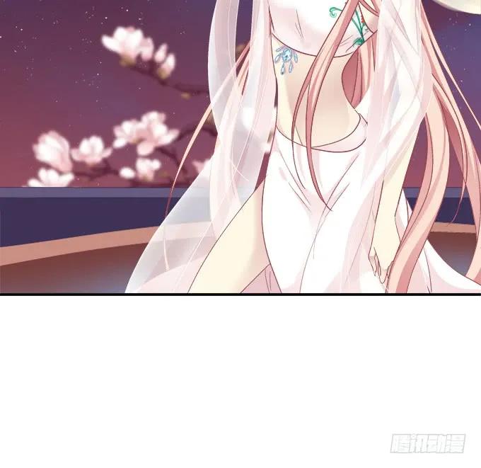 《猫妖的诱惑》小美人，我来了~！ 第35页