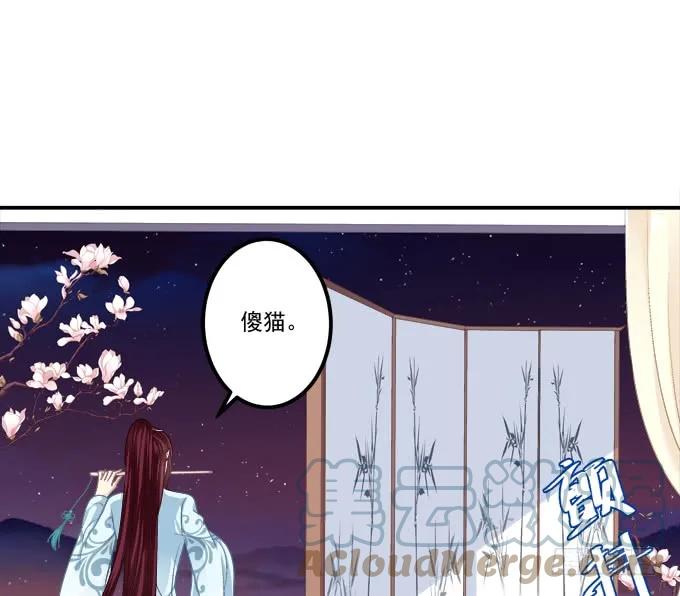 《猫妖的诱惑》小美人，我来了~！ 第40页