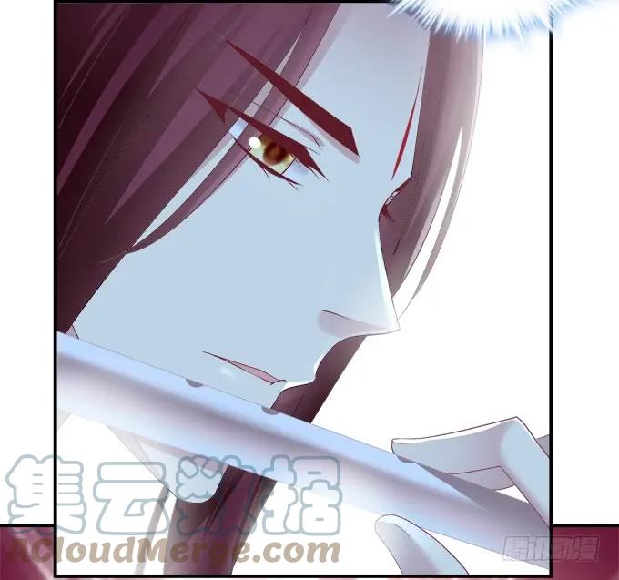 《猫妖的诱惑》小美人，我来了~！ 第22页