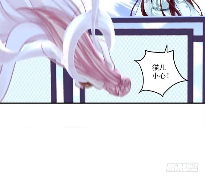 《猫妖的诱惑》小美人，我来了~！ 第50页