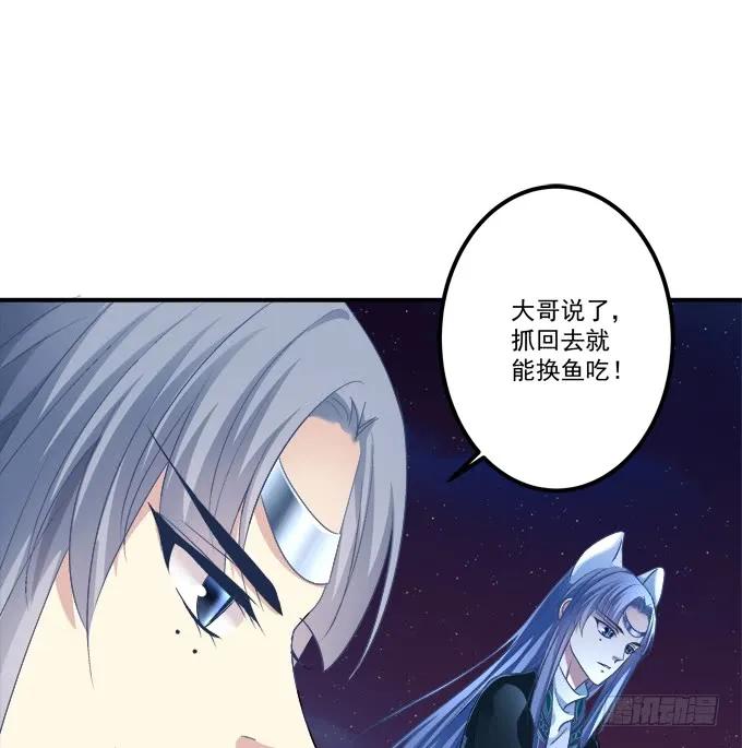 《猫妖的诱惑》生米煮成熟鱼！ 第30页