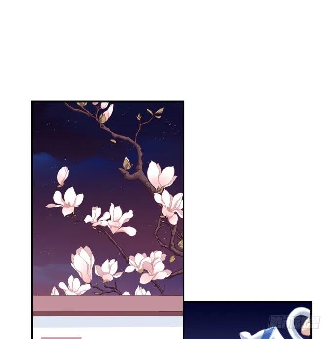 《猫妖的诱惑》“恶婆婆”放开卿哥！ 第35页